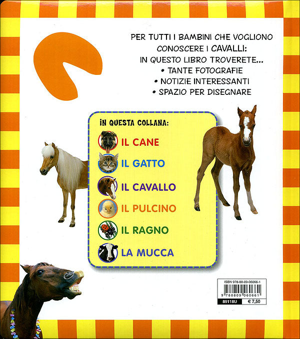 Il Cavallo