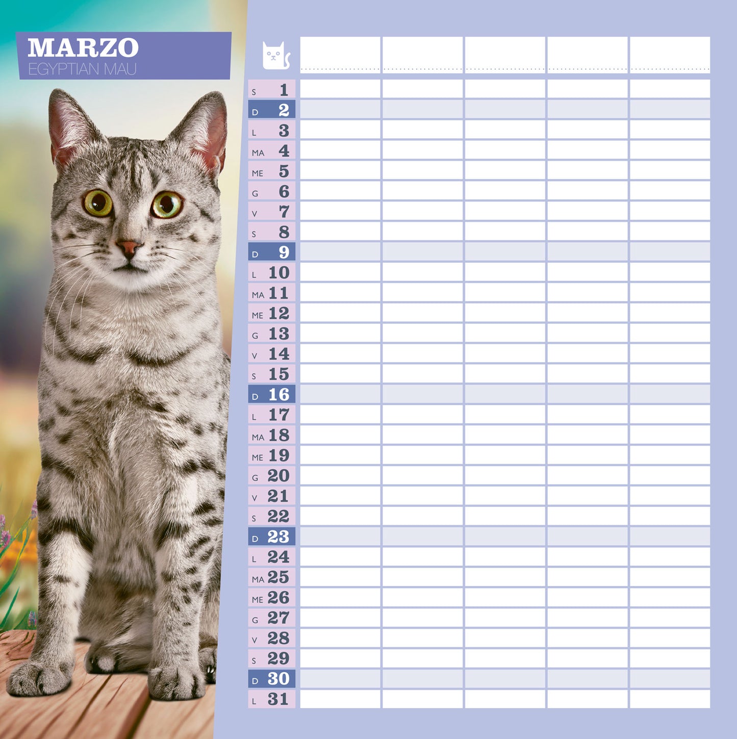 Calendario Gatti 2025 da parete (30 x 30 cm)