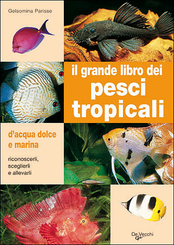 Gelsomina Parisse – Il grande libro dei pesci tropicali d’acqua dolce e marina (2009) pdf Gelsomina Parisse – Il grande libro dei pesci tropicali d’acqua dolce e marina (2009) pdf