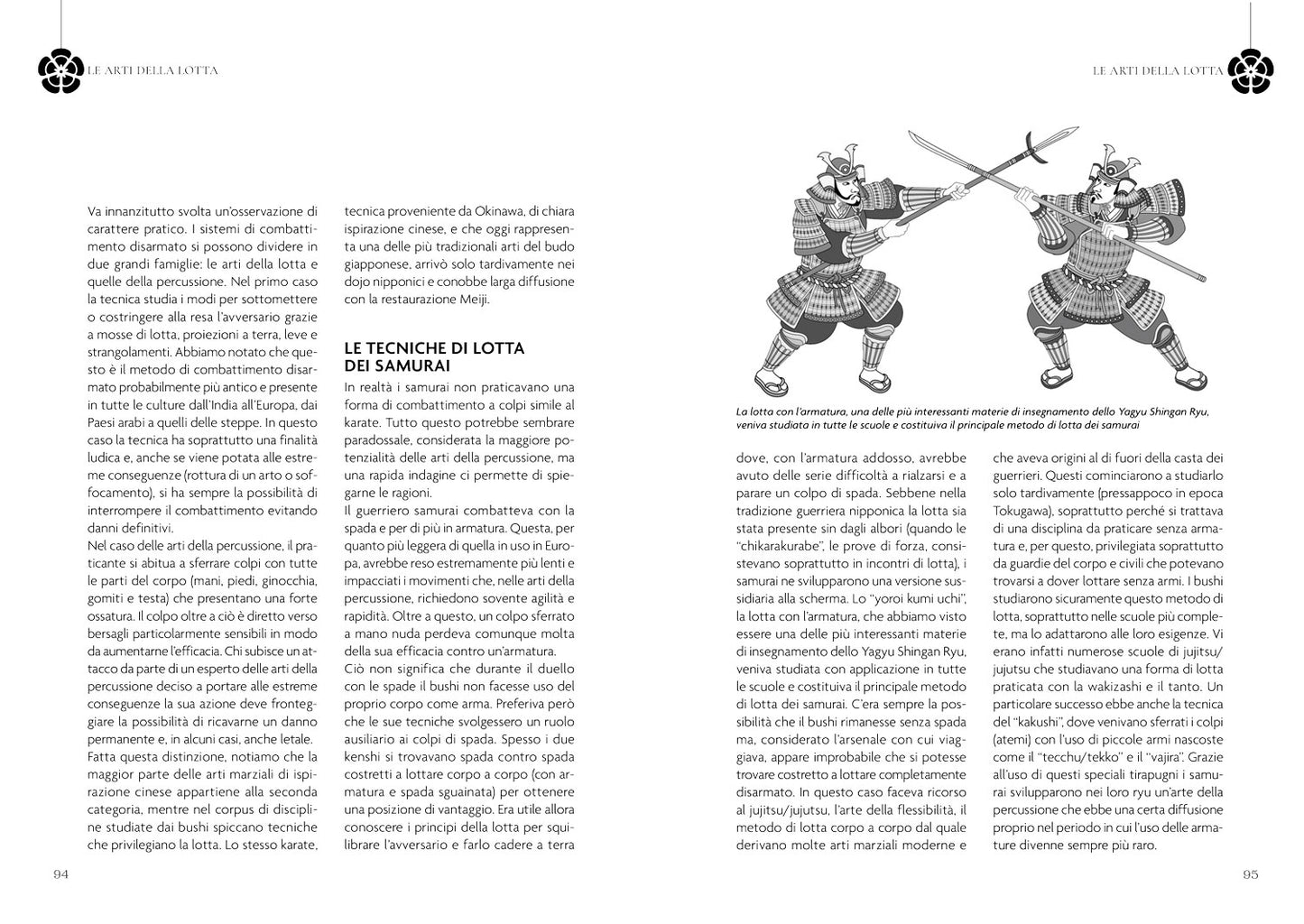 I segreti delle arti marziali