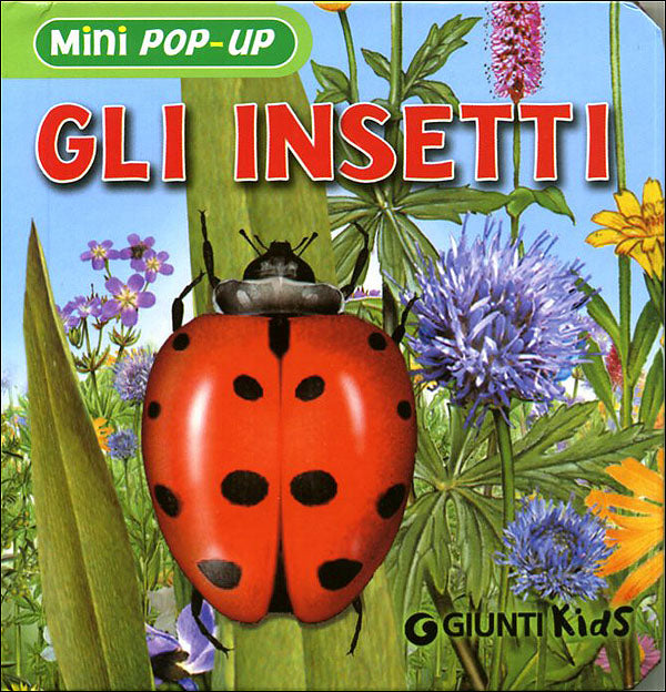 Gli Insetti