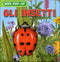 Gli Insetti