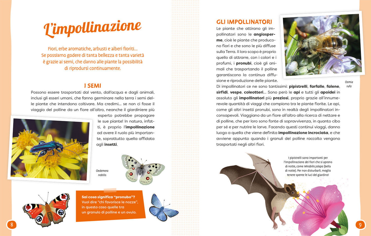 Api e fiori::Coltiviamo la bellezza difendendo la biodiversità