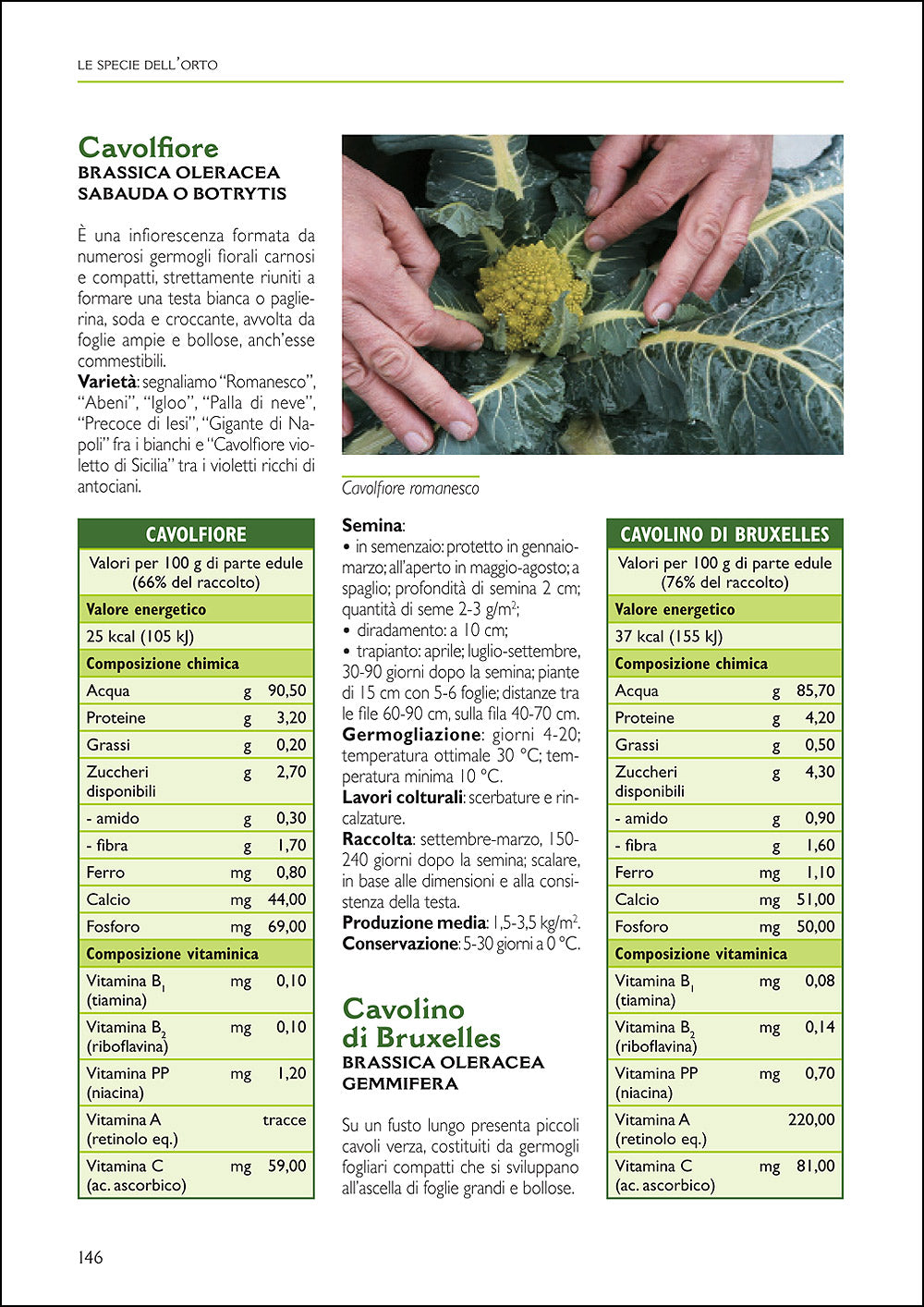 Il grande libro dell'orto::Guida completa