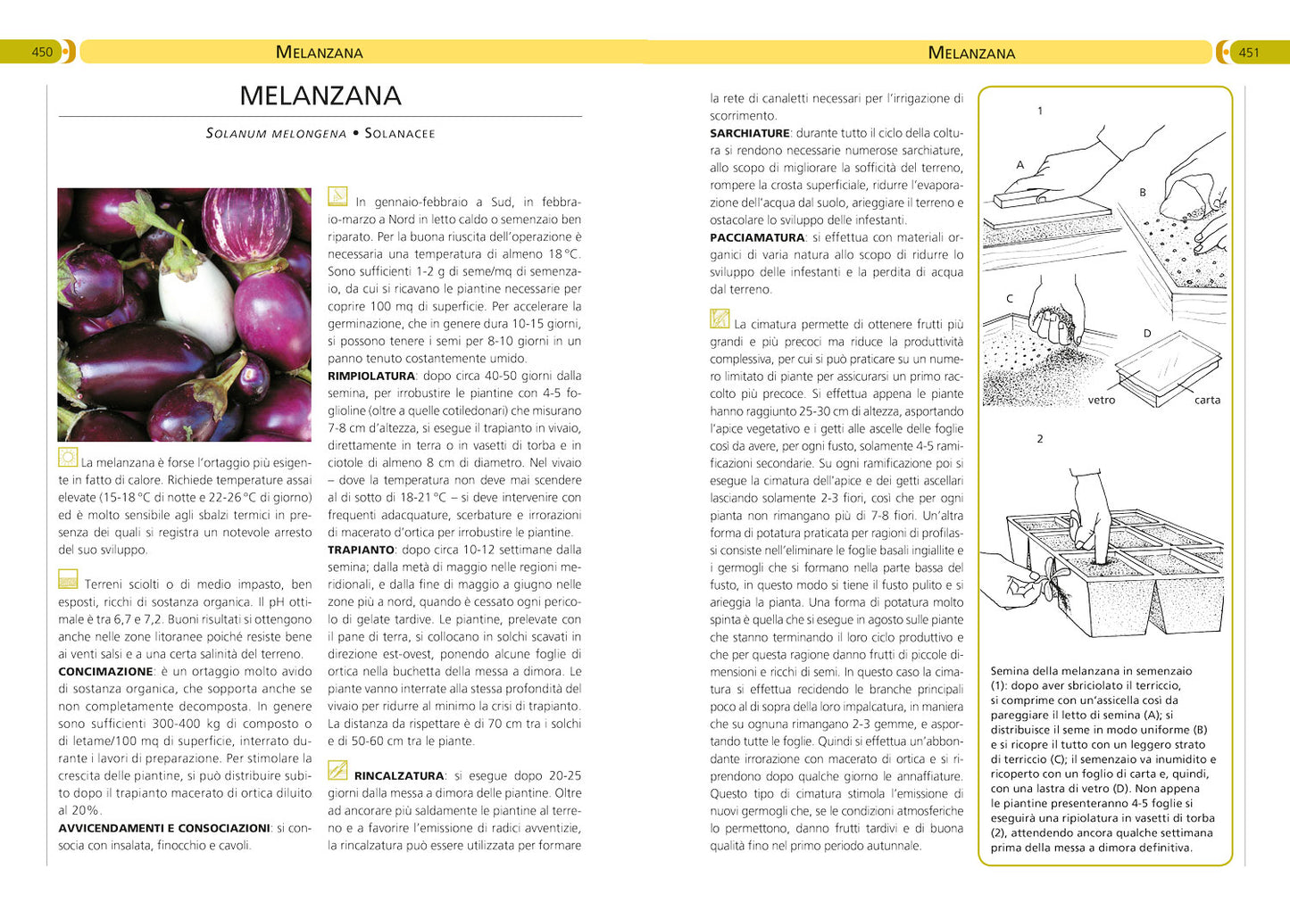 Orto, frutteto, giardino::Il manuale completo