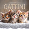 CALENDARIO GATTINI 2026 da parete (30 x 30 cm)