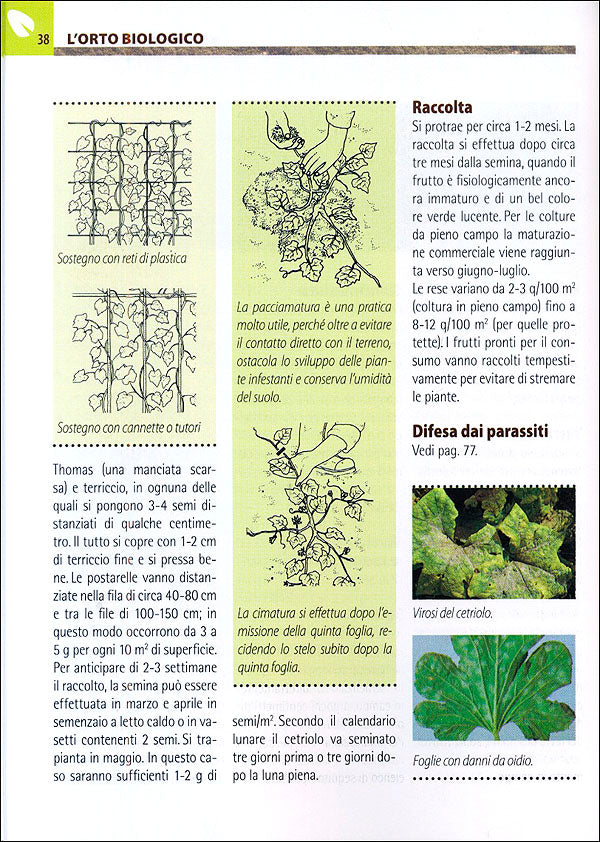 Orto e Frutteto Biologici::Guida completa per ottenere ortaggi e frutti sani e gustosi