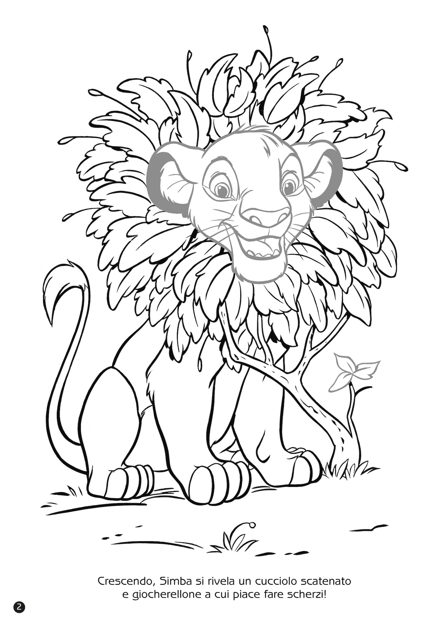 Staccattacca&Colora Il Re Leone