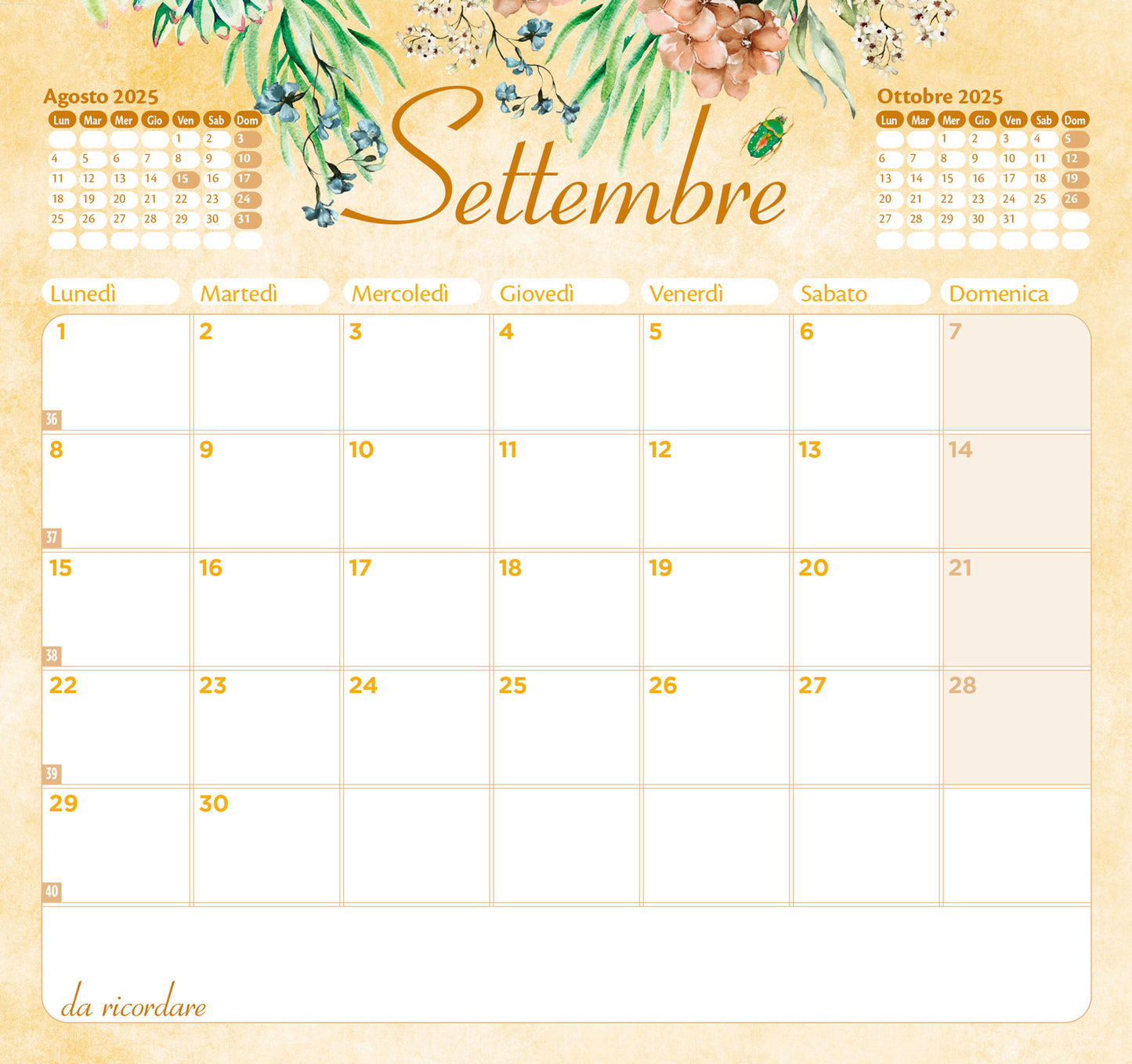 Calendario Emily Liriche 2025 da tavolo (17 x 16 cm)