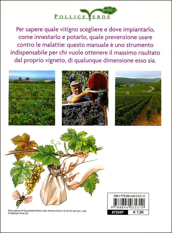 La vite::Varietà, impianto e potatura