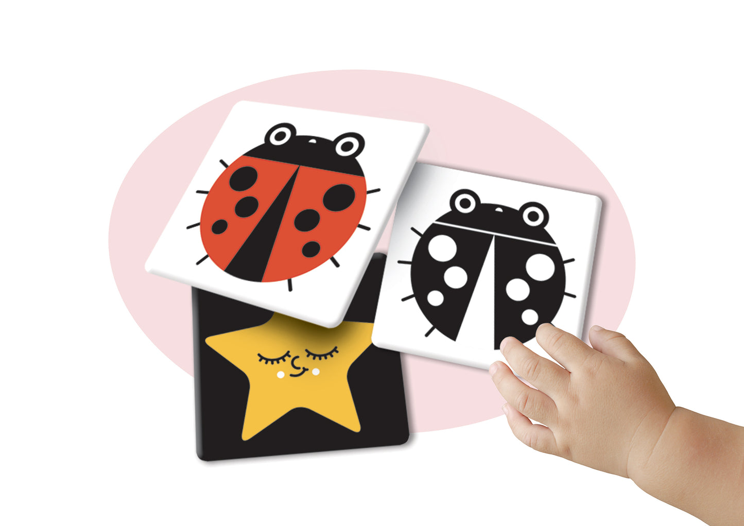 Giorno notte::Flash cards ad alta leggibilità