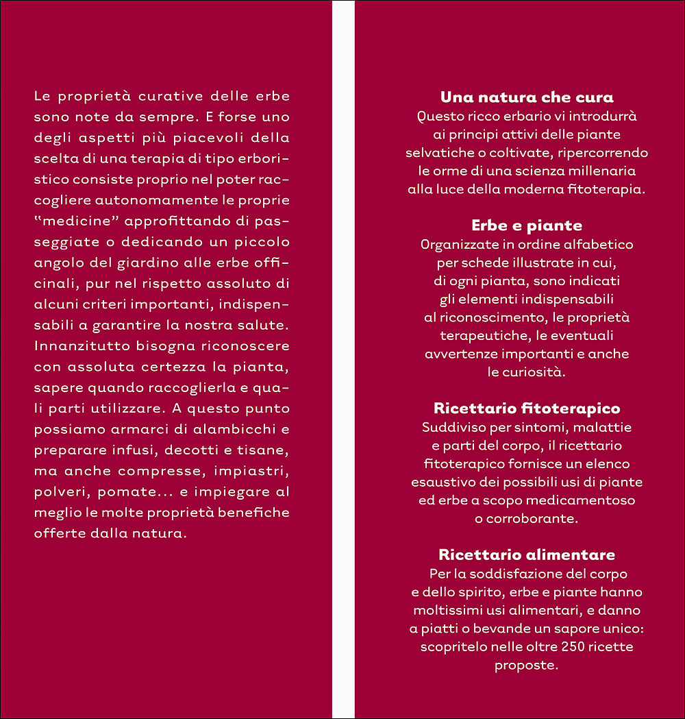 Erbe che curano::Essenze, tisane, unguenti, liquori e il ricettario delle erbe selvatiche