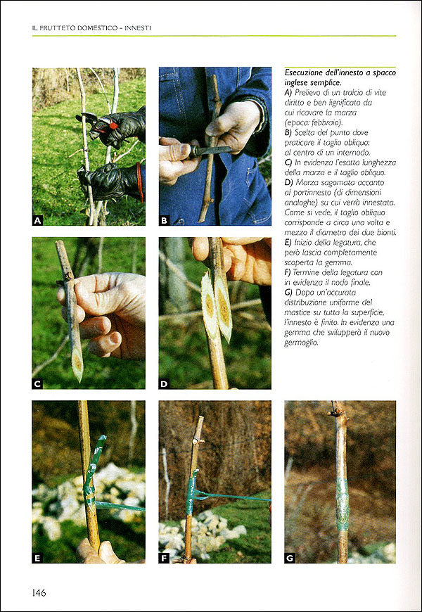 Il grande libro della potatura e degli innesti