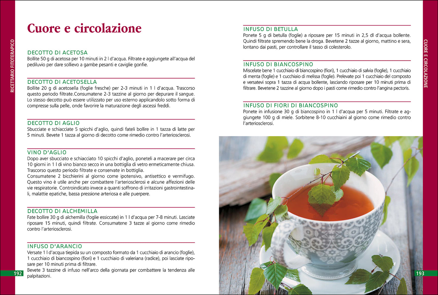Erbe che curano::Essenze, tisane, unguenti, liquori e il ricettario delle erbe selvatiche