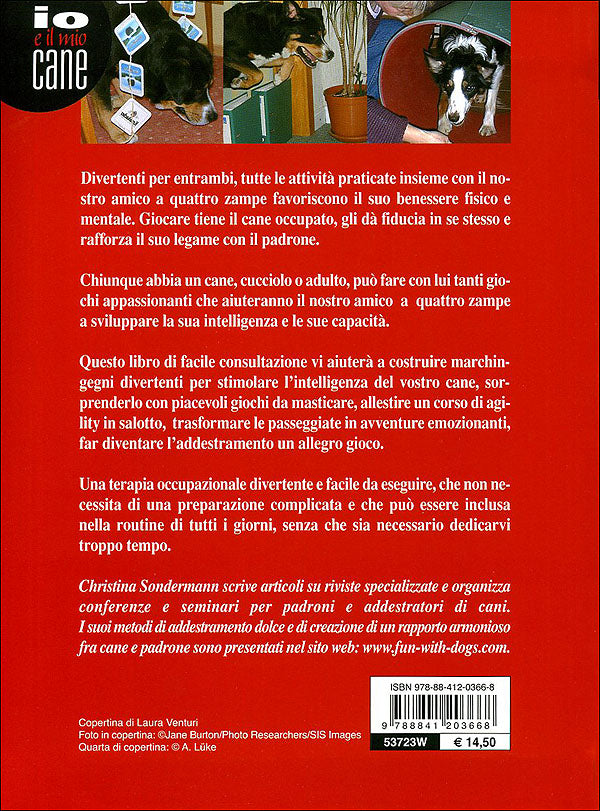 Giocare con il cane::Divertimenti e passatempi per cani e padroni