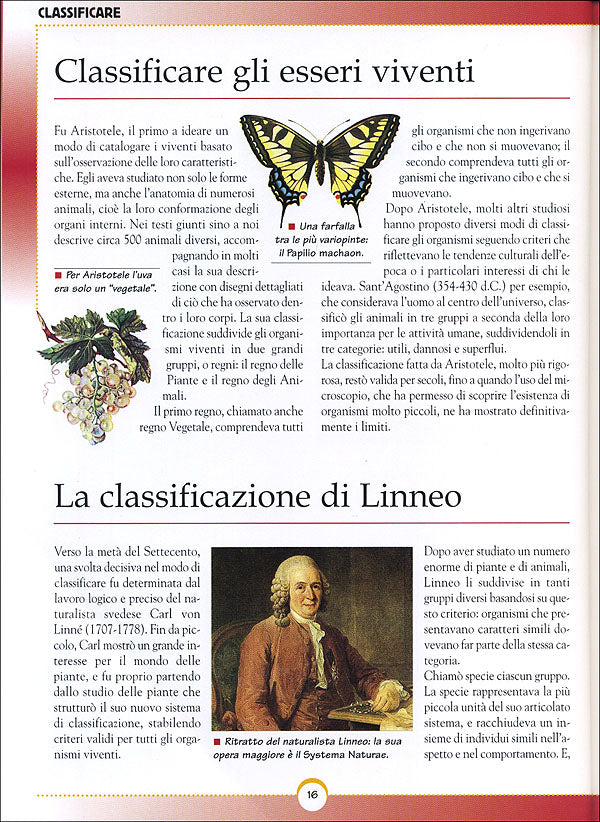 Il Mondo Vivente::Vita, funzioni, piante, animali, corpo umano - Con tante immagini da ritagliare per le tue ricerche