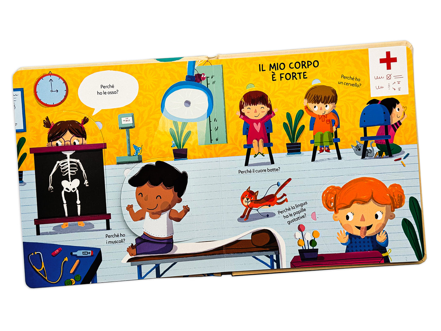 Corpo umano::Tante risposte per piccoli curiosi
