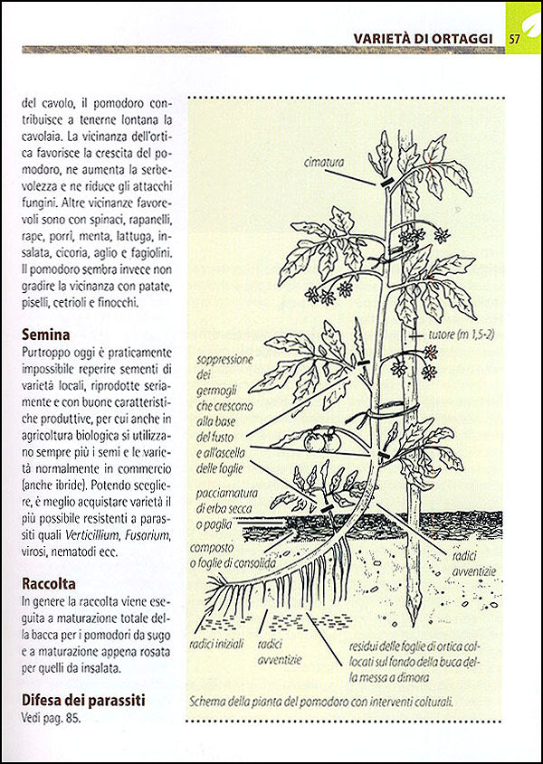 Orto e Frutteto Biologici::Guida completa per ottenere ortaggi e frutti sani e gustosi