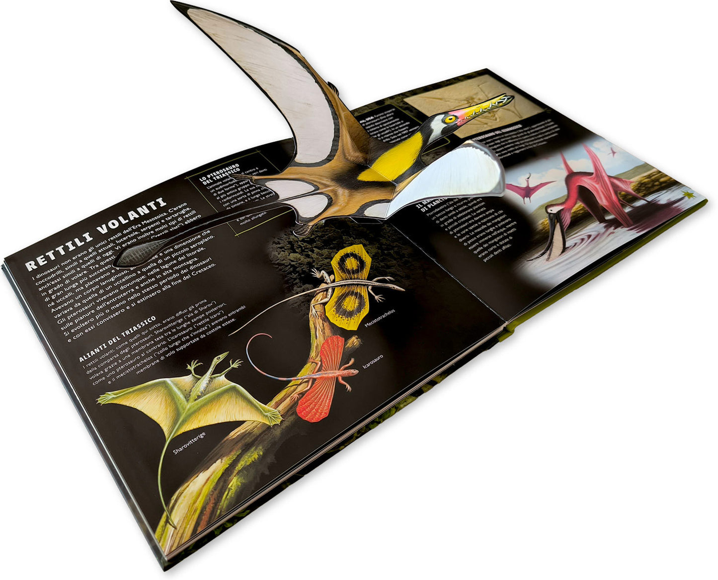 Viaggio nel mondo dei dinosauri::Guida interattiva sui terribili rettili preistorici