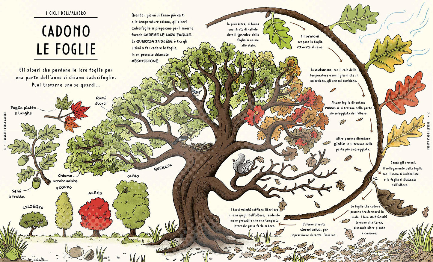 I segreti della natura