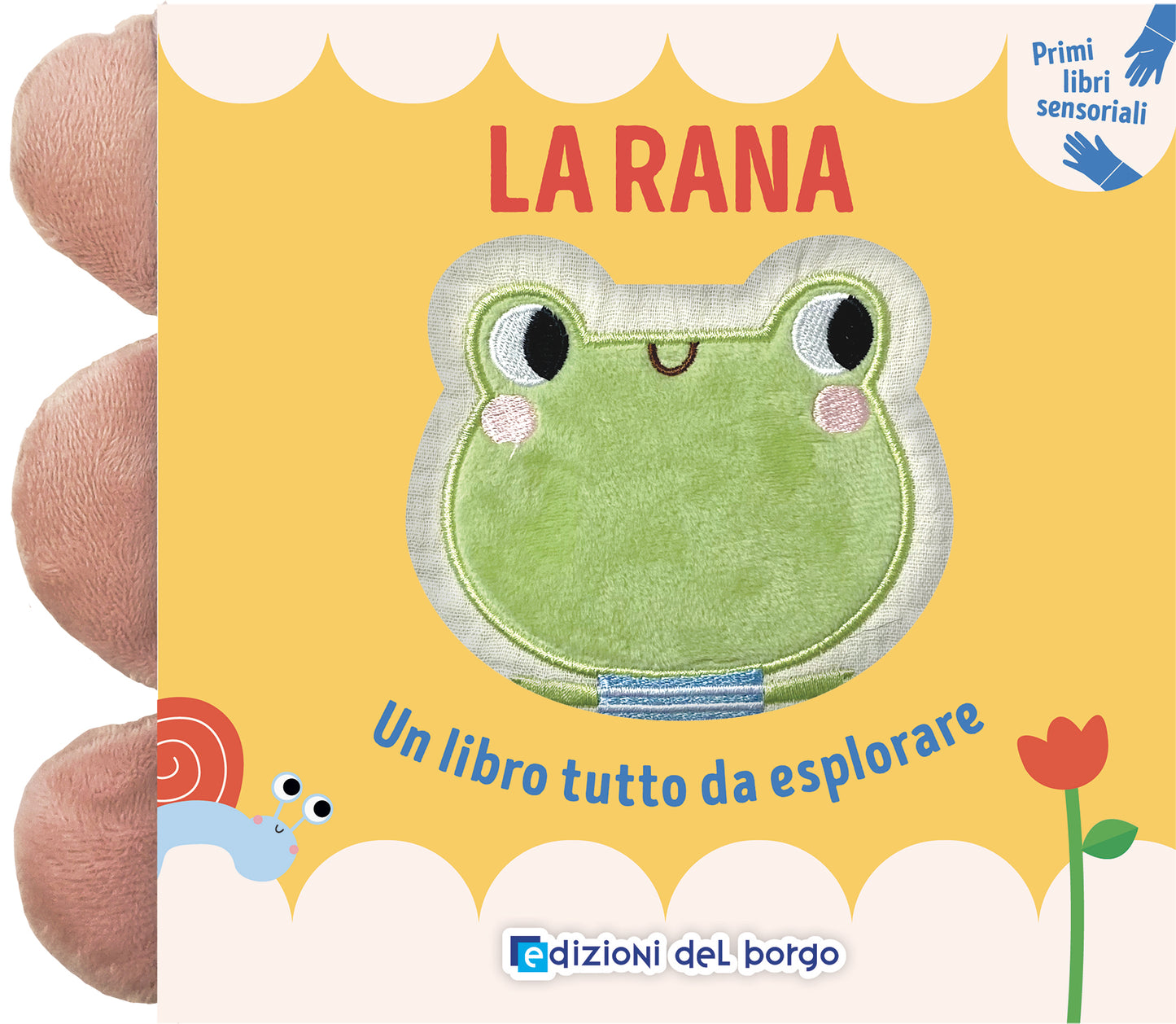 La rana::Un libro tutto da esplorare