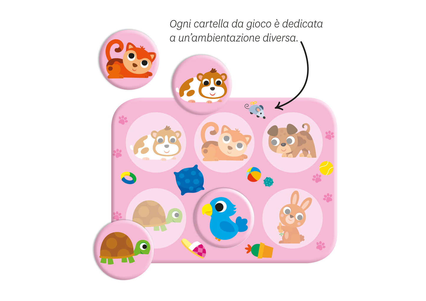 Tombola degli animali