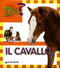 Il Cavallo