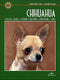 Chihuahua::Scelta del cucciolo - Standard - Educazione - Alimentazione - Salute