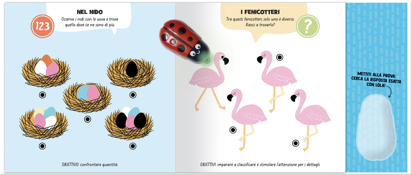 Gioca e impara con Lola vol 2::Numeri, quantità. logica