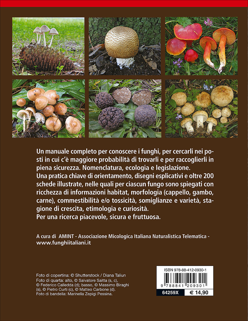 Tutto Funghi::Cercarli, riconoscerli, raccoglierli