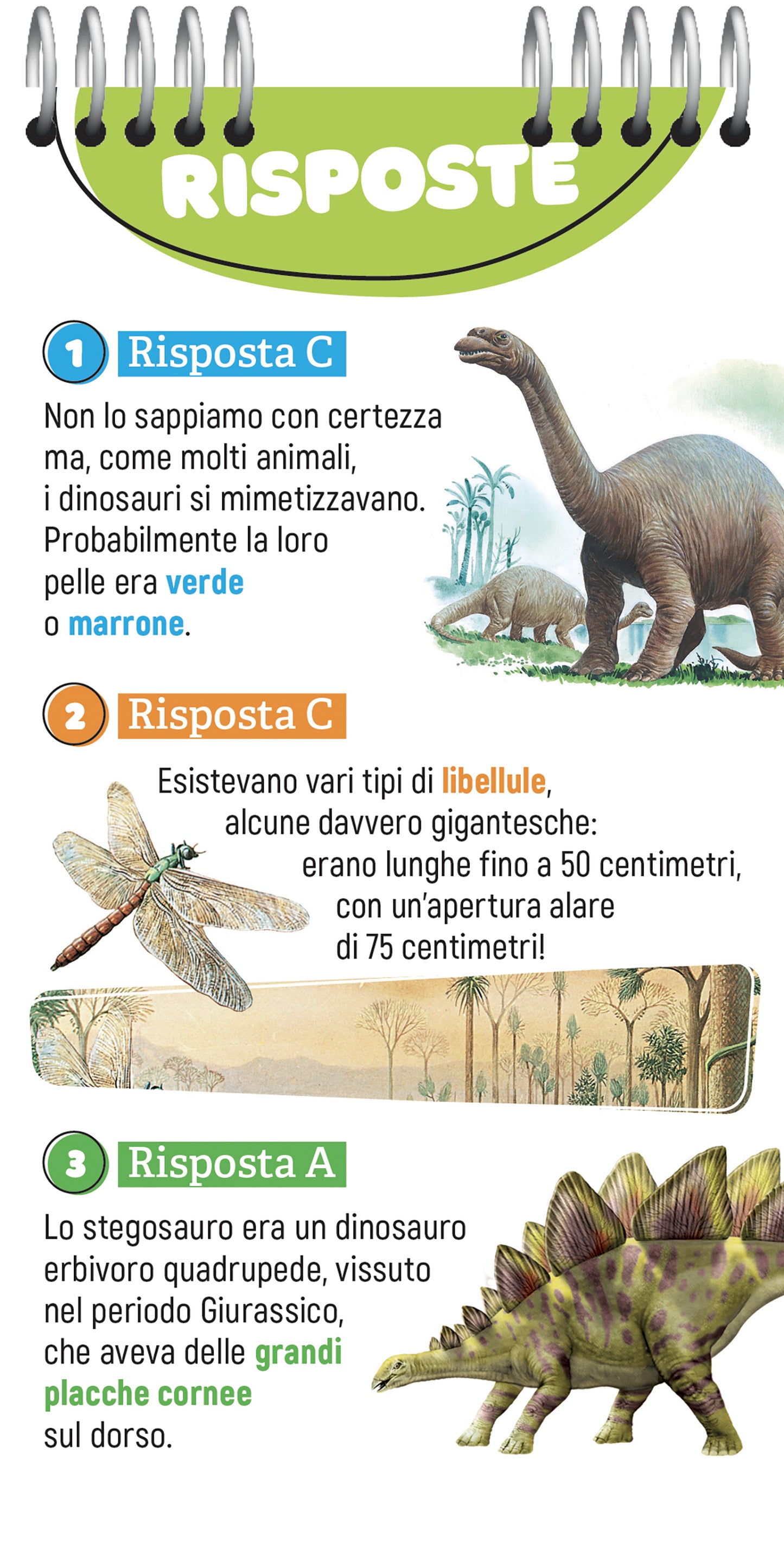 12o Quiz sui dinosauri