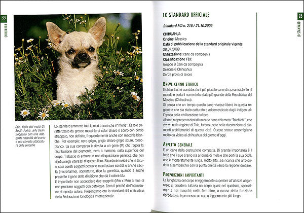 Chihuahua::Scelta del cucciolo - Standard - Educazione - Alimentazione - Salute
