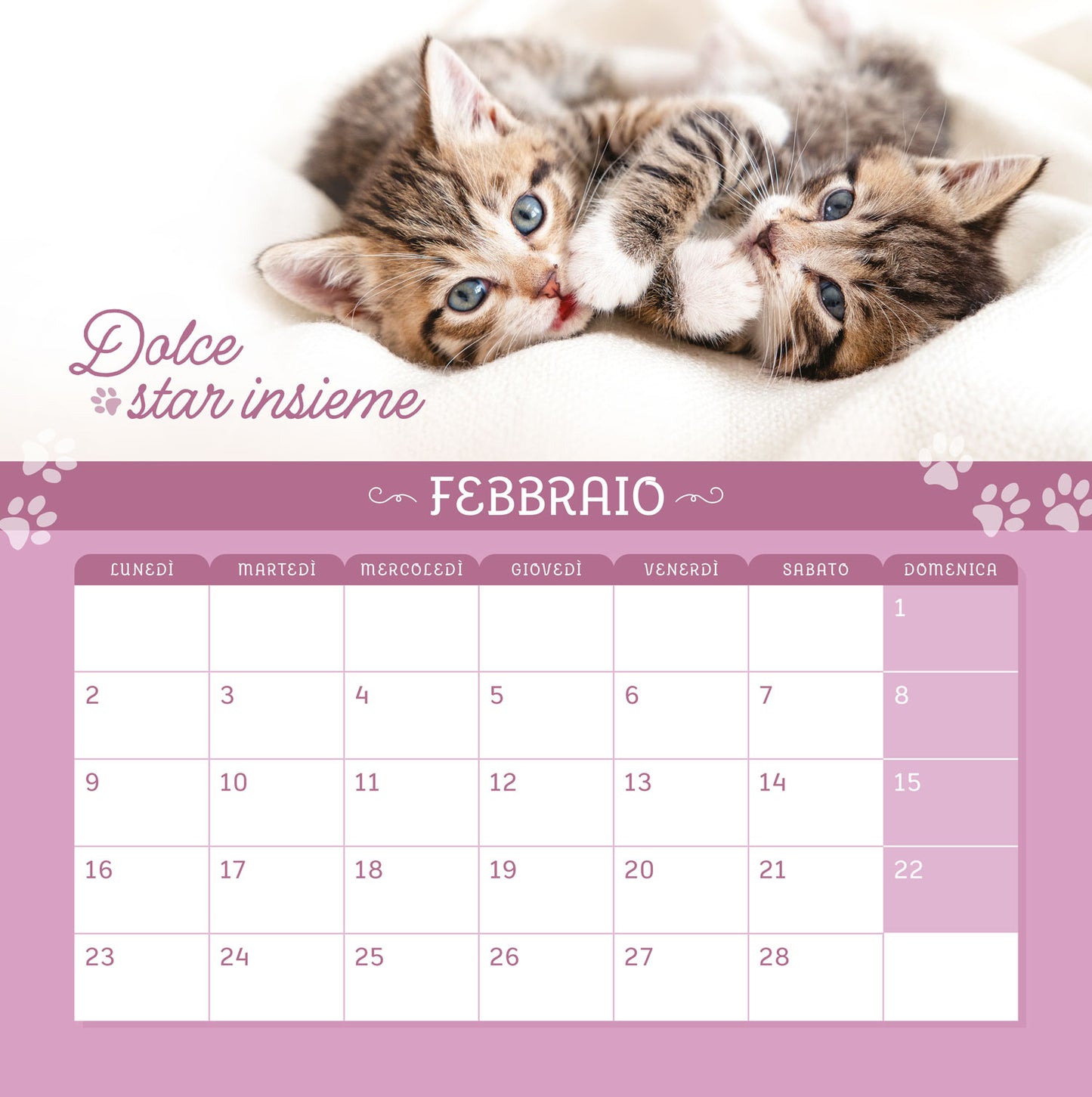 CALENDARIO GATTINI 2026 da parete (30 x 30 cm)