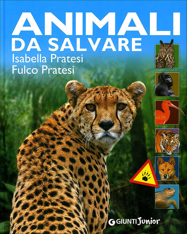 Animali da salvare