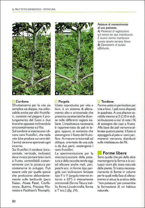 Il grande libro della potatura e degli innesti