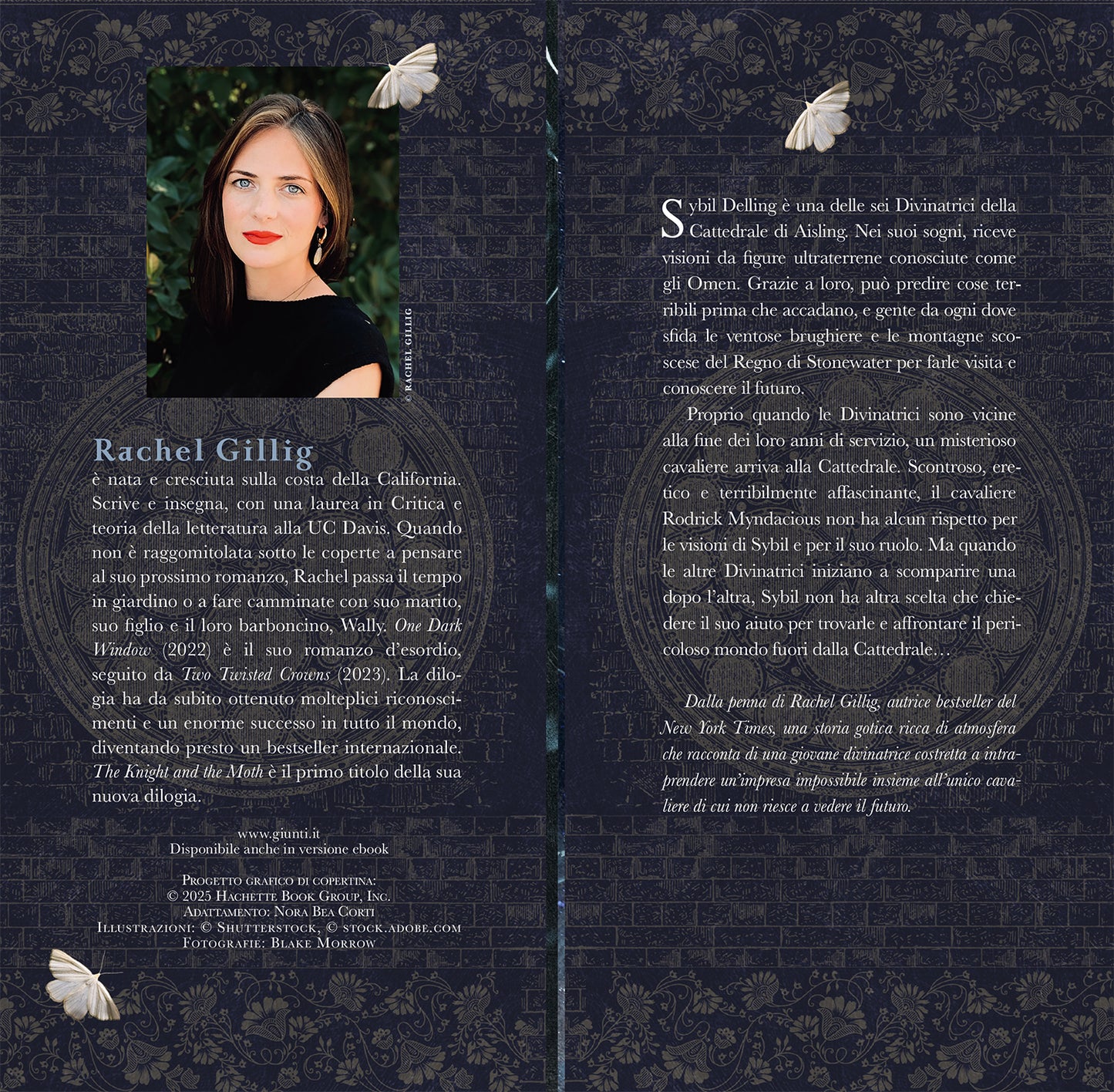 The Knight and the Moth