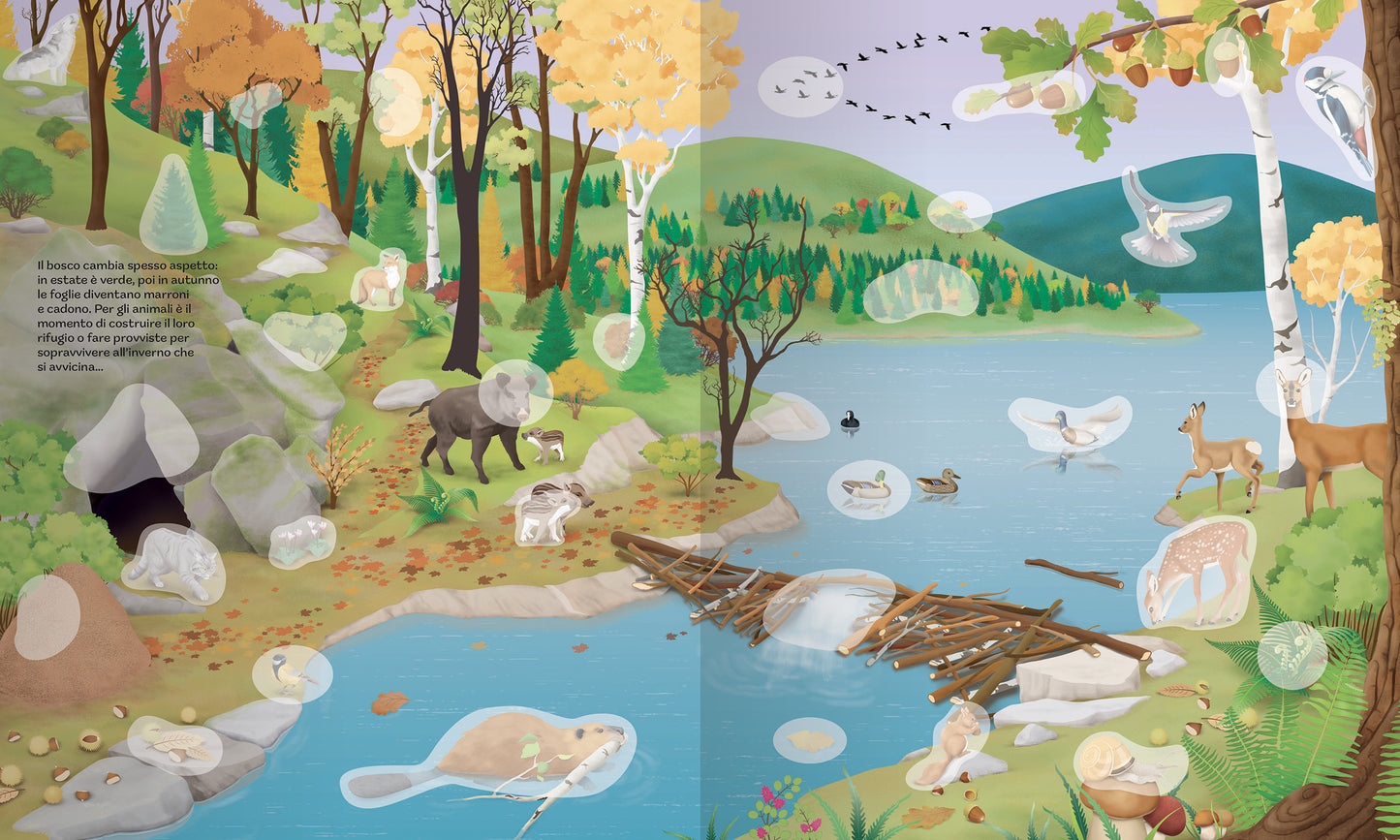 Animali e i loro ambienti