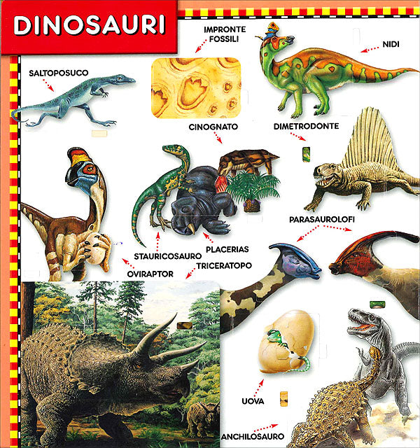 Dinosauri::100 finestrelle!