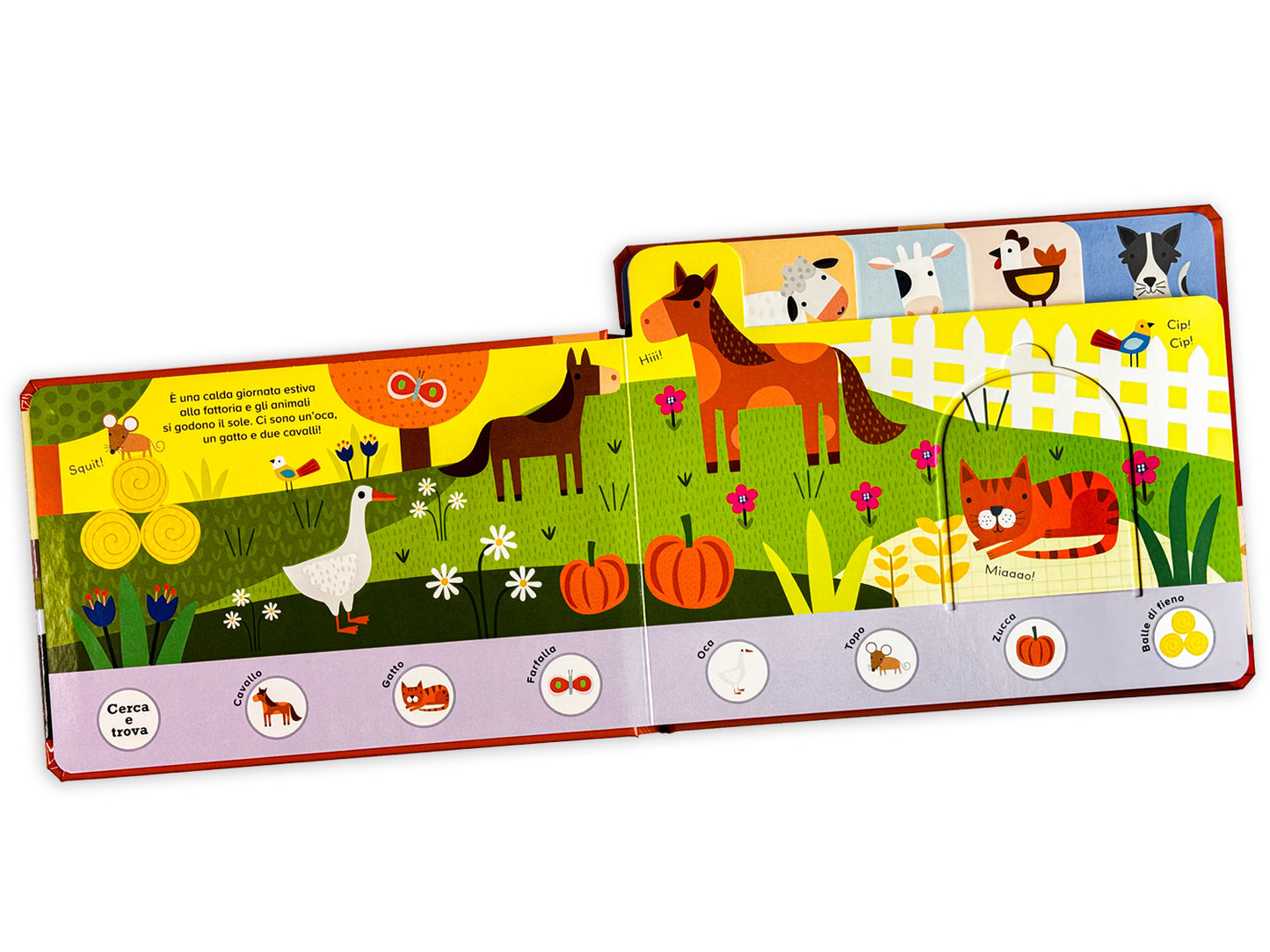 Fattoria::Piccoli esploratori