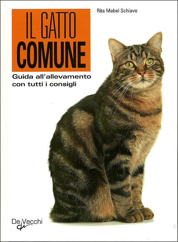Il gatto comune::Guida all'allevamento con tutti i consigli