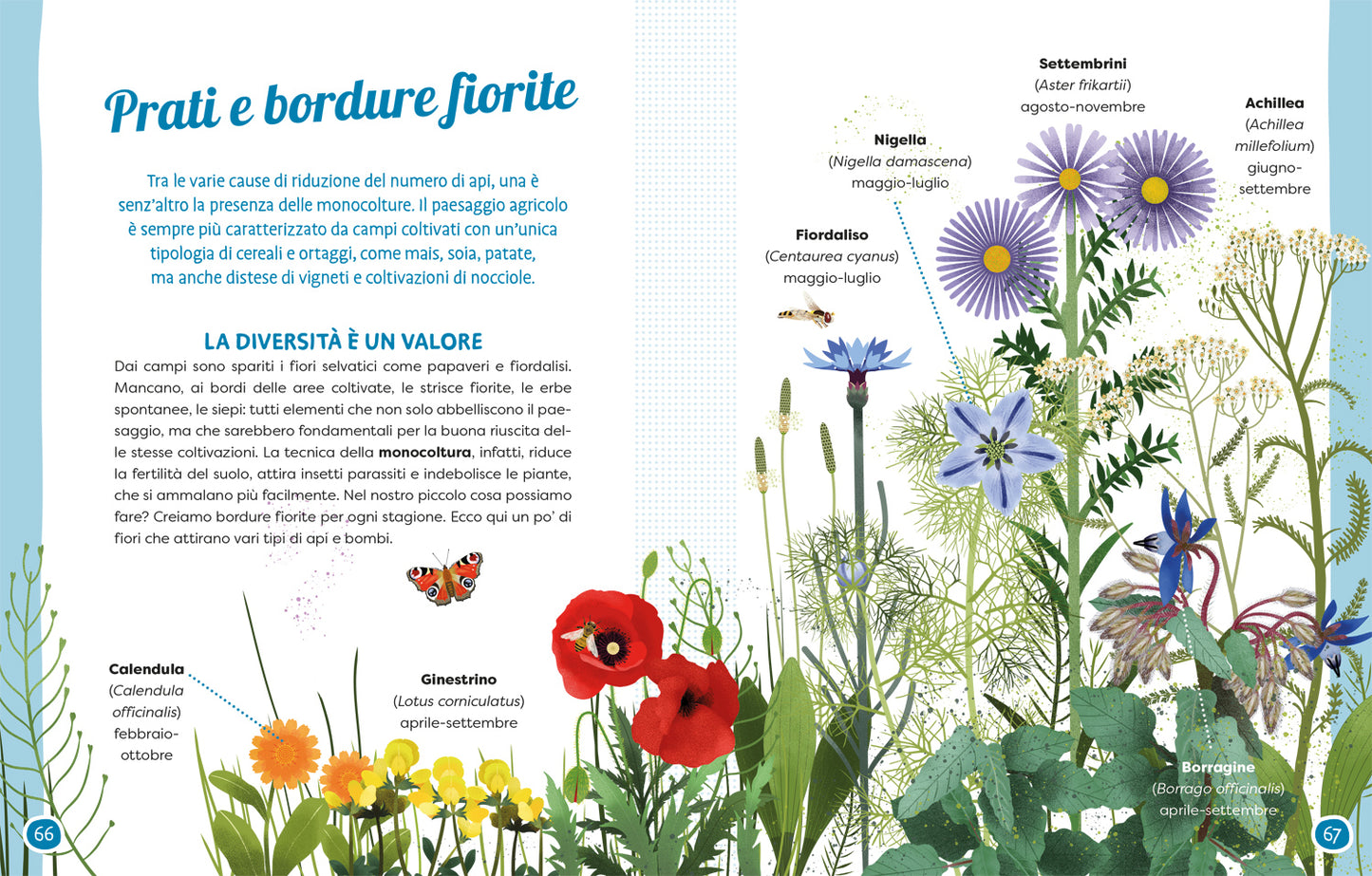 Api e fiori::Coltiviamo la bellezza difendendo la biodiversità