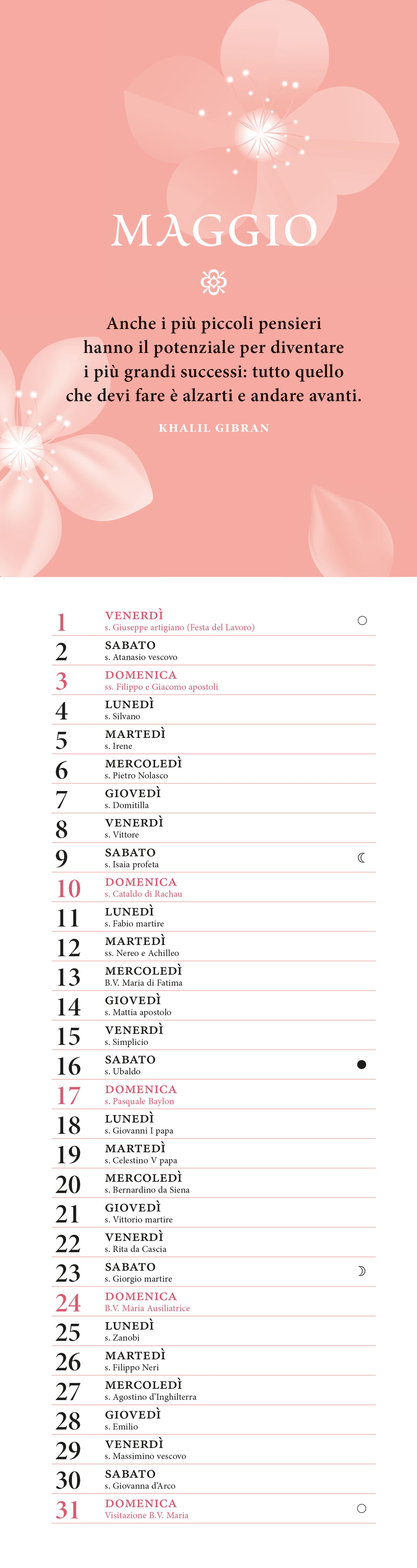 IKIGAI. SENSO DELLA VITA GIAPPONE 2026 da parete (12,5 X 48 cm)