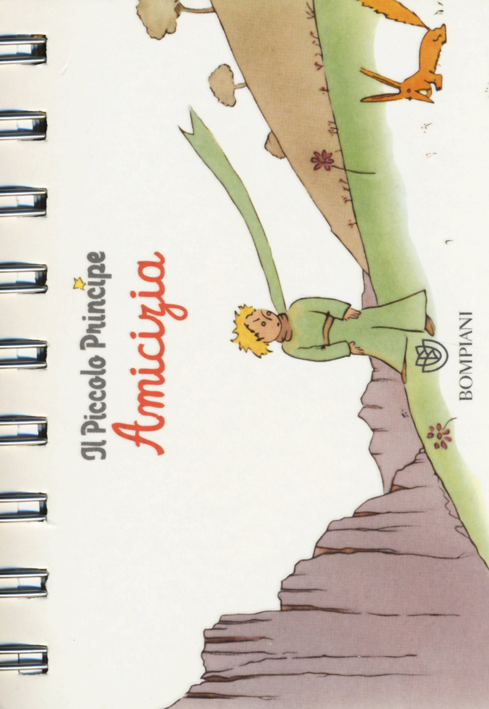 Il Piccolo Principe. Amicizia