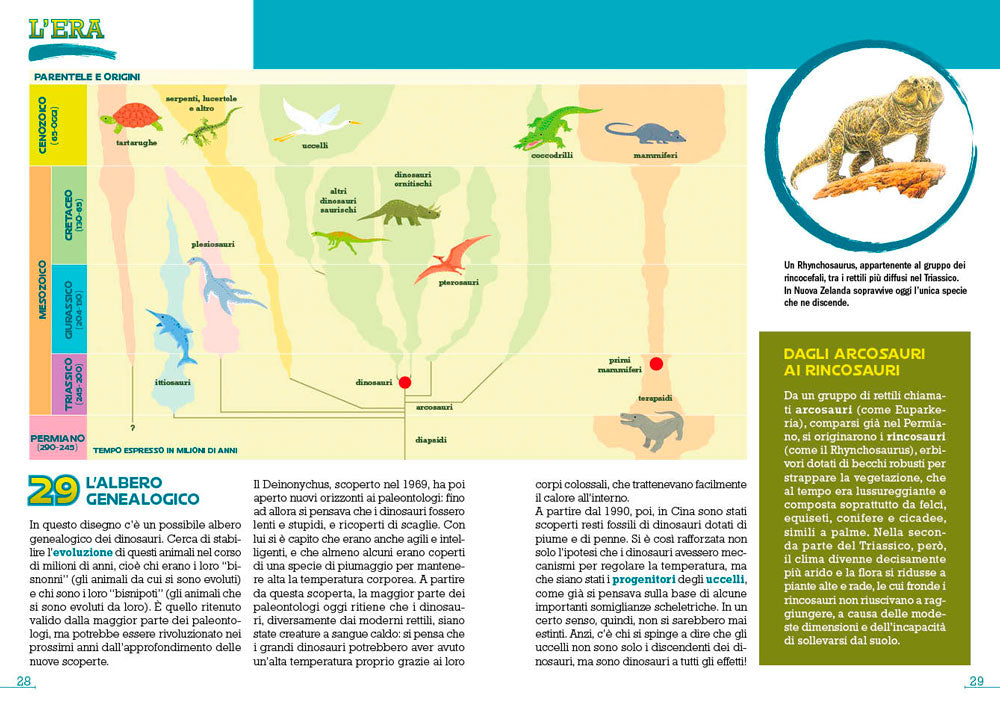 Dinosauri::100 e più fatti che ancora non sai!