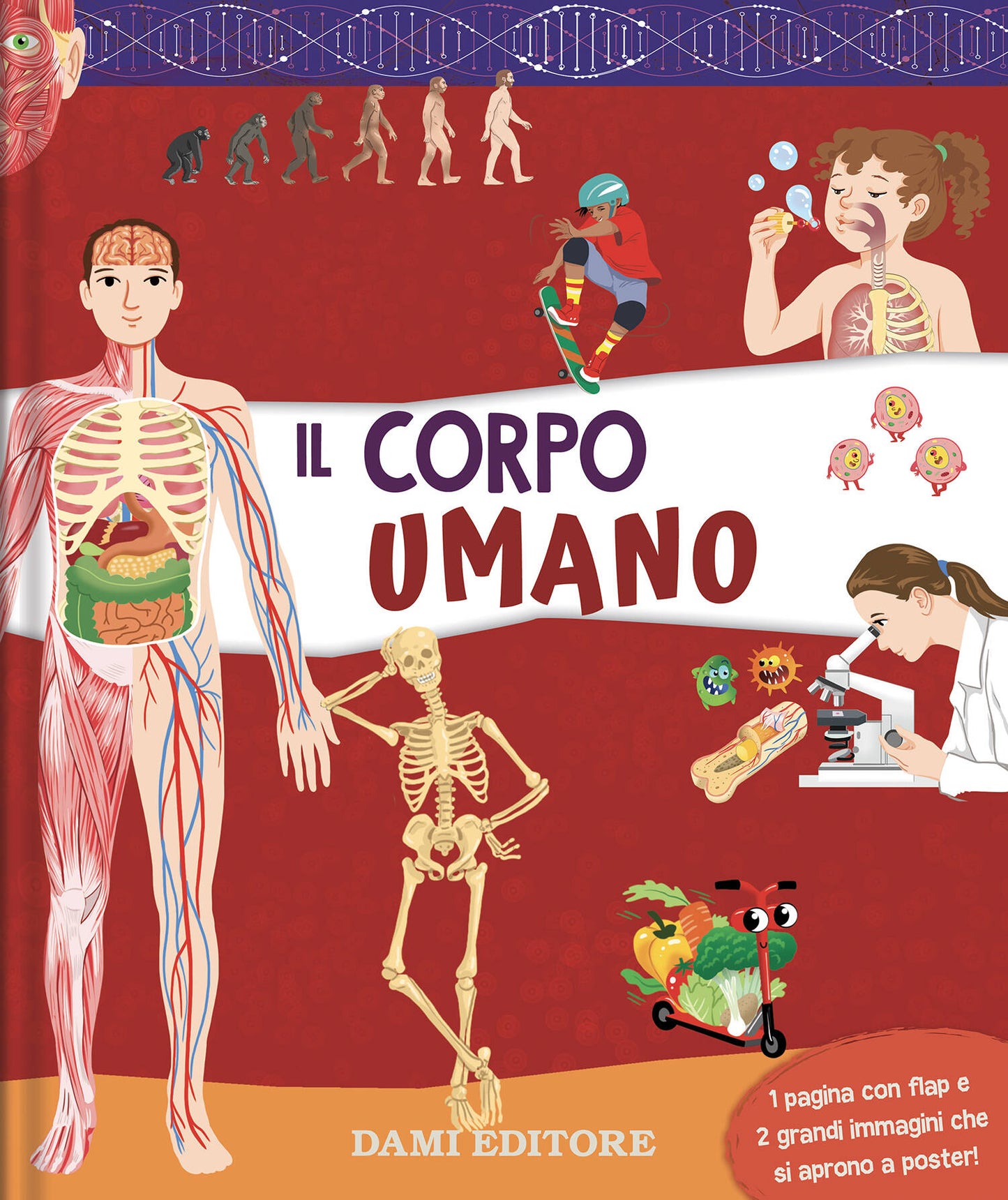 Il corpo umano