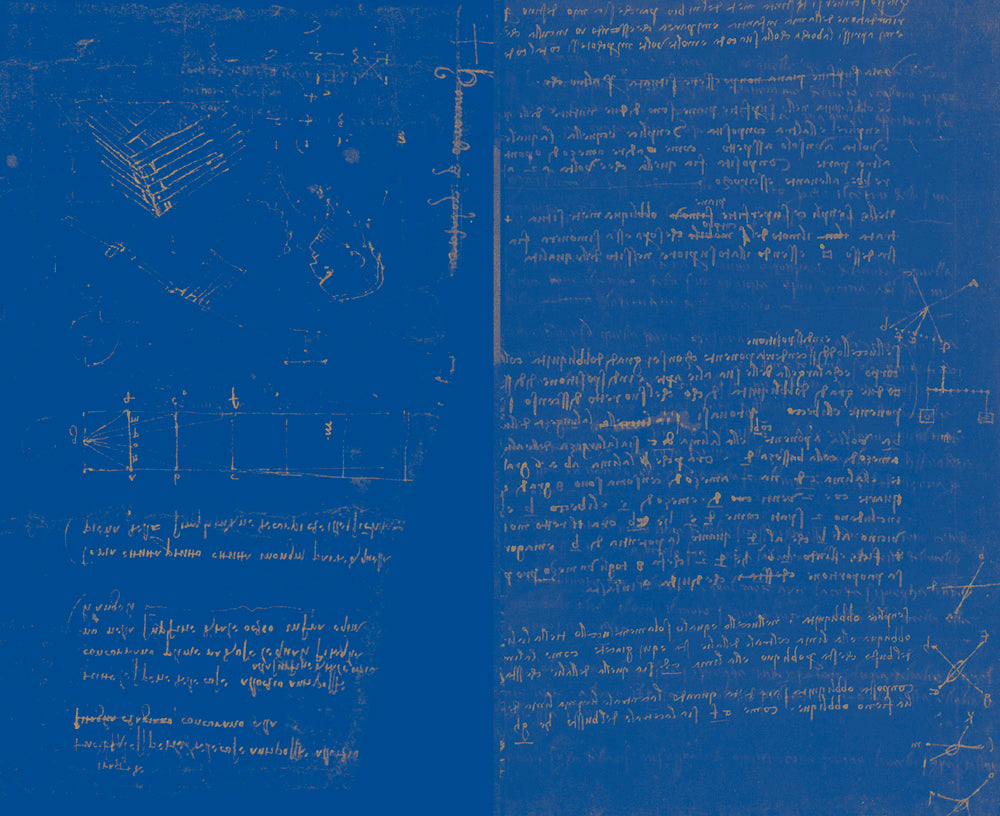 Leonardo & Firenze::Fogli scelti dal Codice Atlantico