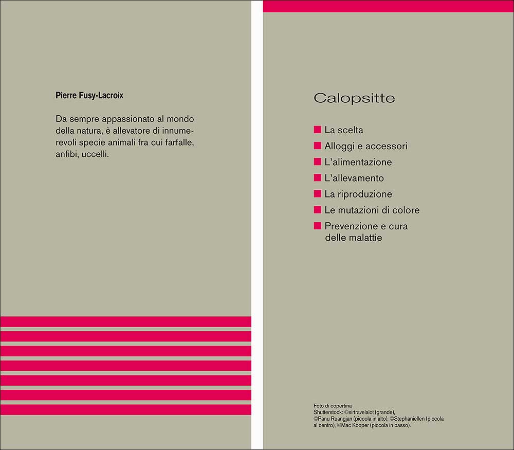 Calopsitte::Caratteristiche - Comportamento - Allevamento - Riproduzione - Alimentazione - Igiene - Salute