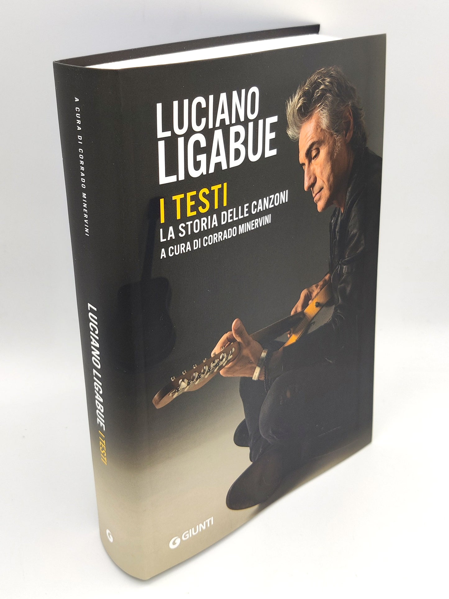Luciano Ligabue::I testi. La storia delle canzoni