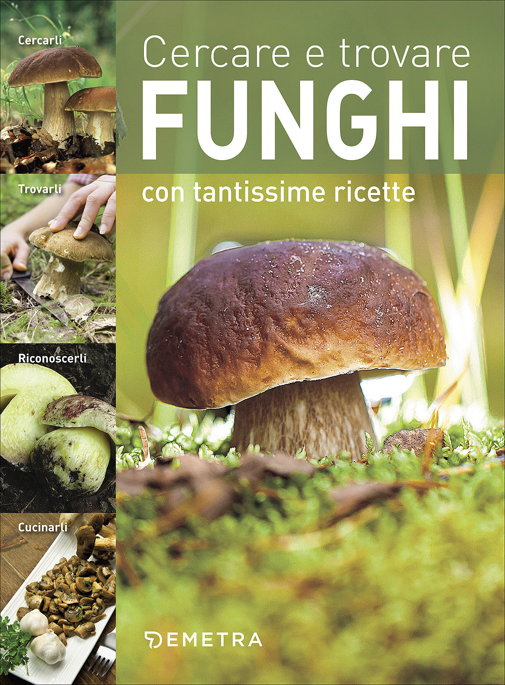 Cercare e trovare funghi::Con tantissime ricette