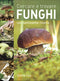 Cercare e trovare funghi::Con tantissime ricette